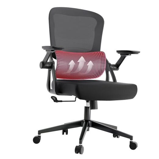 Ergonomic Office Chair - 500LB Comfy Desk Chairs with Lumbar Back Black