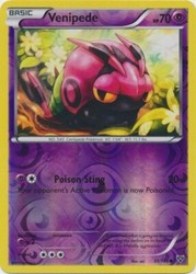Venipede Reverse Holo XY Base Set 51/146