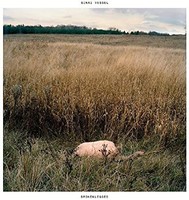Sinai Vessel - Brokenlegged - Cd - F600Z
