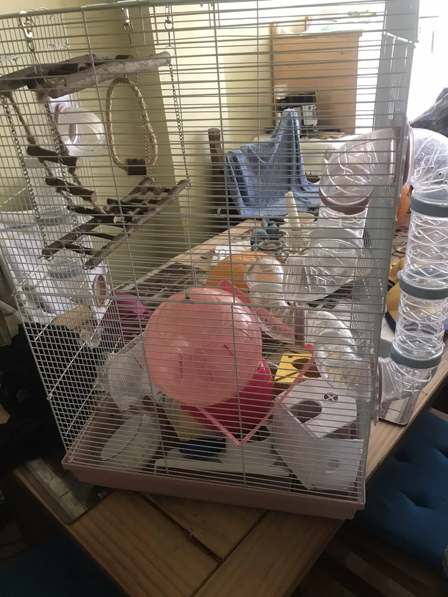Second hand hamster cage near me top