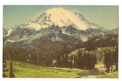 Mt. RAINIER National Park Glacier System From Tipsoe Lake WASHINGTON Postcard WA