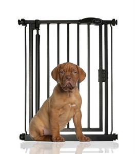 iron dog gate