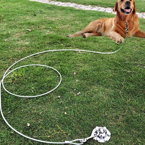 Draht Seil Stake Für Hunde Welpen Hof Leine Große Hund Swivel Hund Ketten - Bild 9 von 12