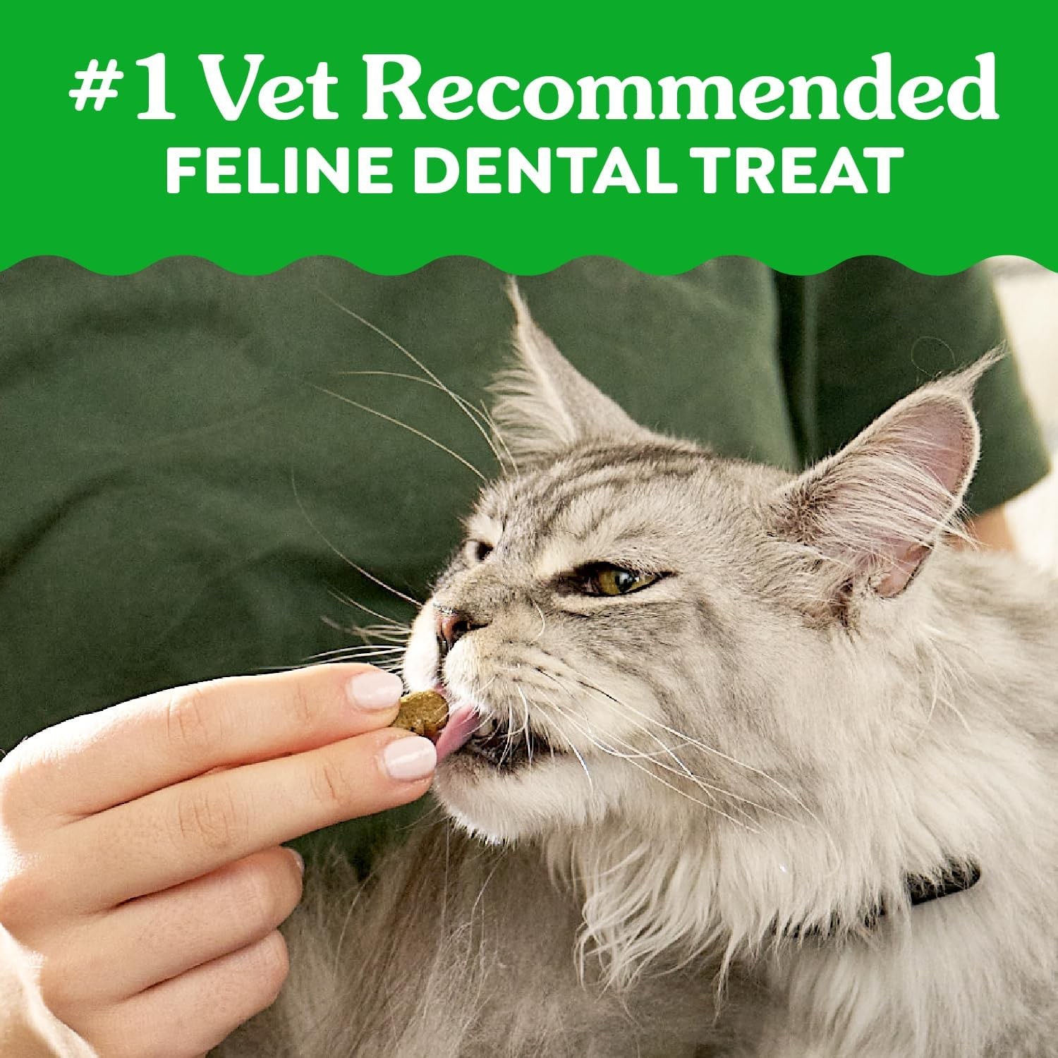 Greenies Adult Cat Dental Chews - Catnip Flavor, Natural Vet-Recommended 4.6 oz