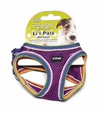 market fresh dog food