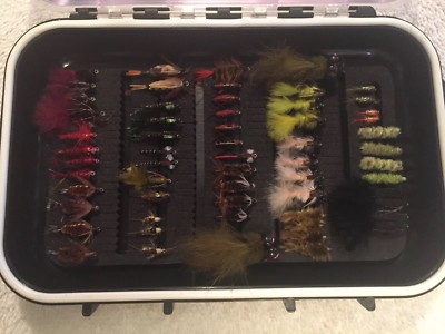 60 FLY FISHING NYMPHS HUGE ASSORTMENT in Waterproof flybox
