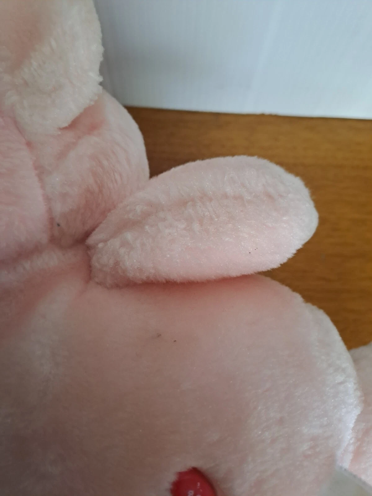 Picture 10 of 11
