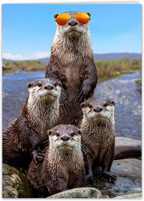 Funny Otter Birthday Card for Women, Men, Friends, Brothers, Sisters, Grandkids