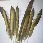 Blue & Yellow MACAW Feathers           DIY Crafts, Decorations — photo 5