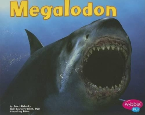 Janet Riehecky Dinosaurs and Prehistoric Animals Megalodon (Tascabile)