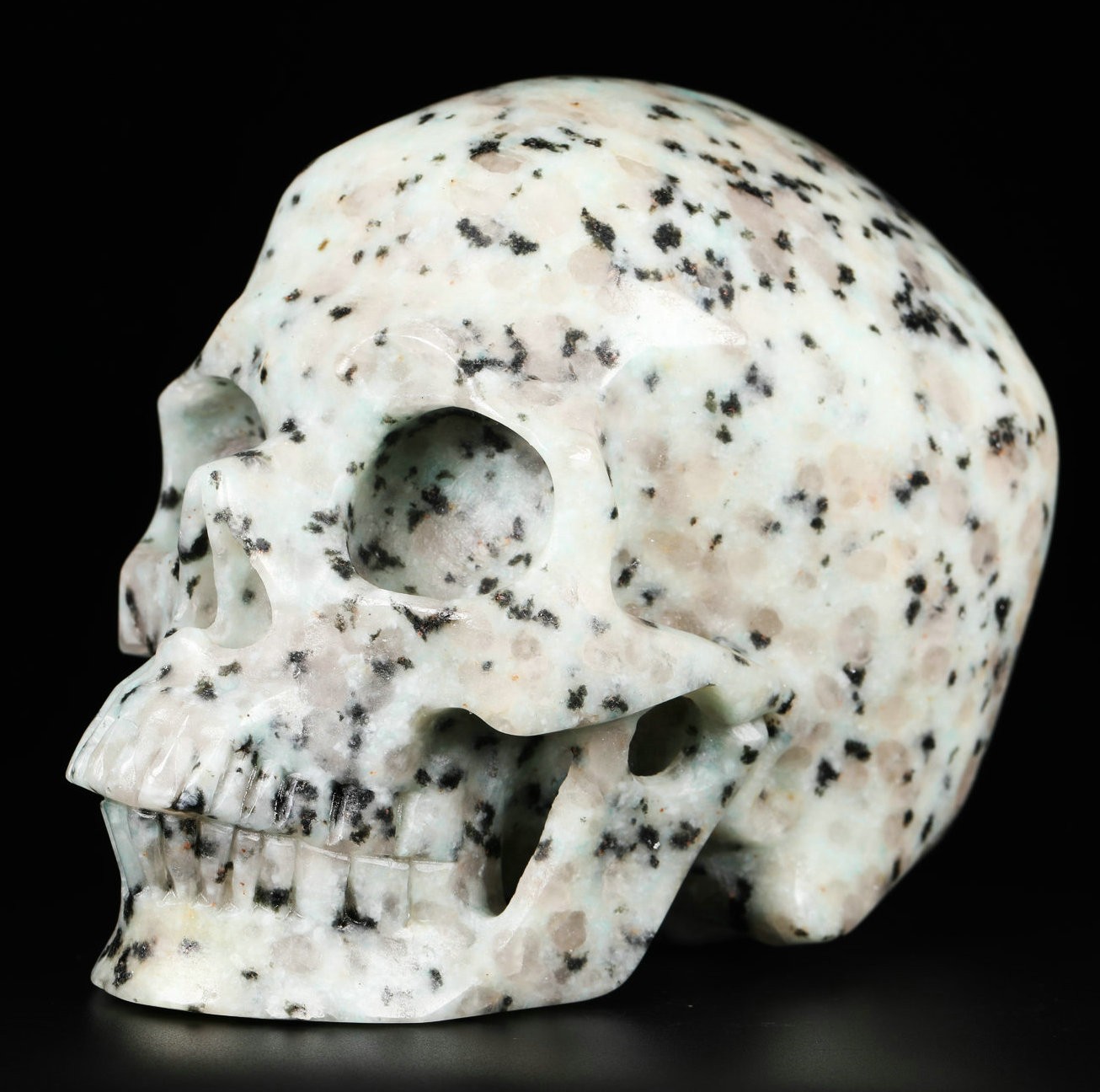 Huge 5.0" Kiwi Jasper Carved Crystal Skull, Realistic, Crystal Healing