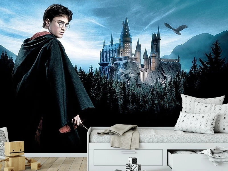 Harry potter online wall mural