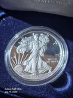 2015-W American Silver Eagle Proof — photo from another recent sale