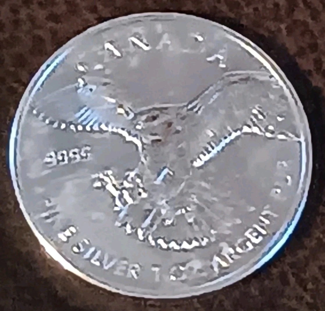 Canadian Maple Leaf 2014 Silver Bullion Coins for sale | eBay