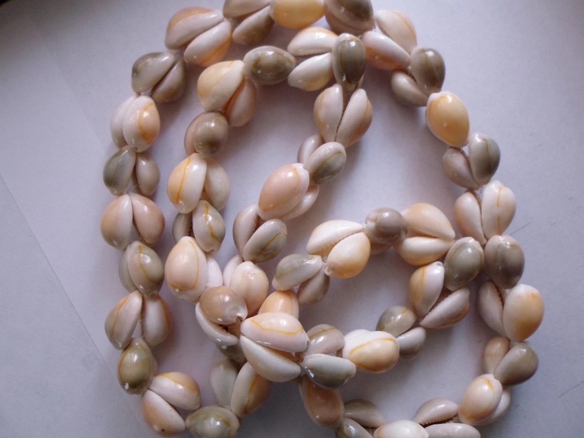 Cowrie shell necklace best sale ebay