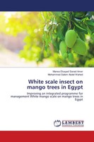 White Scale Insect On Mango Trees In Egypt Marwa Elsayed Sanad Amer (U. A.) Buch