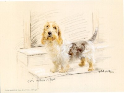 Petit Basset Griffon Verdeen PBGV Limited Edition Art Print UK Artist Gill Evans