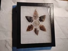 1937 Buffalo Nickel 6 Authentic Arrowheads +. Display Case