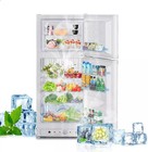 Smad Propane Gas Fridge AC 2-Way Top Freezer Camper Off-grid Garage 6.5 Cu.Ft