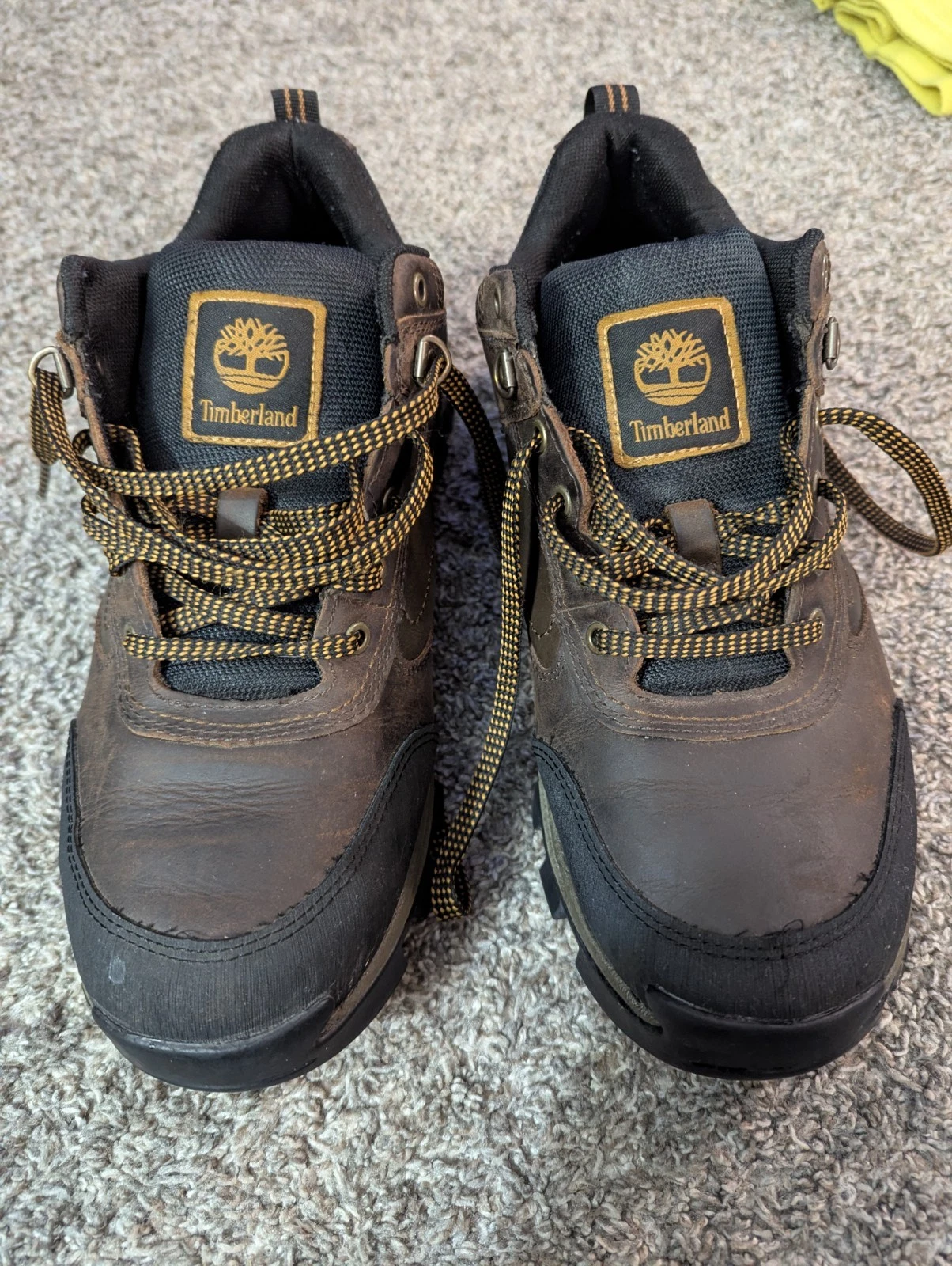 Timberland Mt Maddsen Low Waterproof Hiking Boots Men's