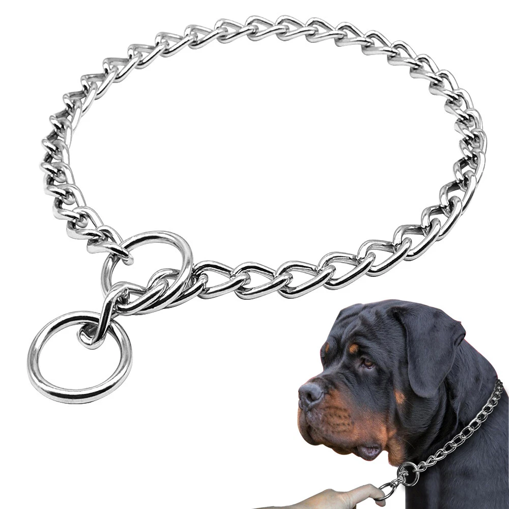 Dog check store chain