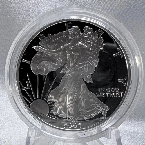2003-W 1 oz .999 Fine Silver American Eagle Proof Coin [D16]