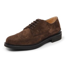 H9750 scarpa allacciata uomo TOD'S man shoes brown