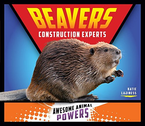 Beavers: Construction Experts (Awesome Animal Powers) - Picture 1 of 1