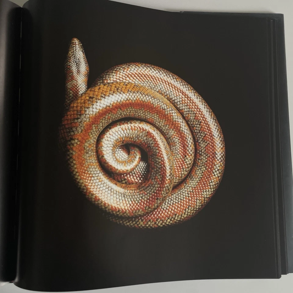 Serpentine by Mark Laita (2013 Hardcover) First Edition - Imagem 3 de 3