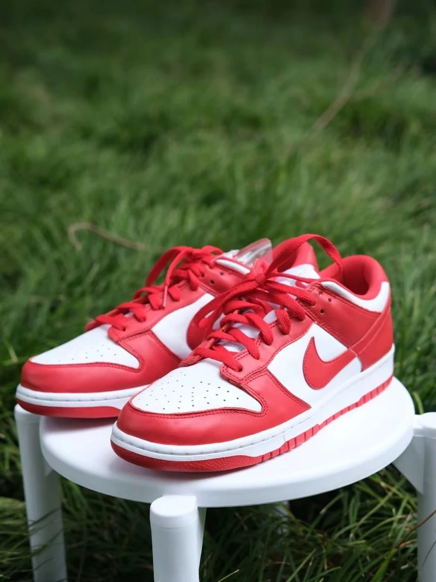 海外限定　Nike SB Dunk Low Pro \
