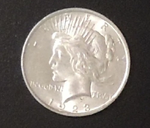 1923 Peace Silver Dollar Coin (Brilliant Uncirculated)
