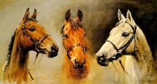 WE THREE KINGS RACE HORSES ARKLE RED RUM DESERT ORCHID BY SUSAN CRAWFORD REPRO