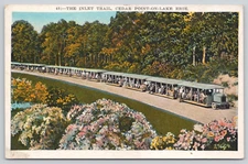 Postcard The Inlet Trail, Cedar Point-On-Lake Erie Ohio Train Trolley A1324