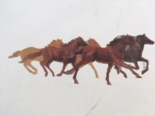 PACKAGE OF 8 Horse Wallpaper Cutouts by Wallies; horses, Beautiful!! 