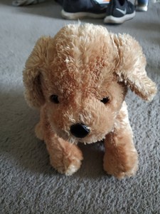 Kohl's Cares Biscuit Plush Dog Puppy Book Toy Stuffed Alyssa Satin Capucilli 10