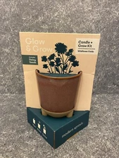 Glow & Grow Candle + Grow Kit with Daisy Seeds Wildflower Fields Modern Sprout