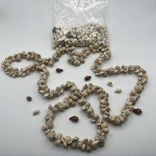 200Pcs Natural Tiny Small Seashells with Tail-Hole, Beads for DIY Jewelry Making