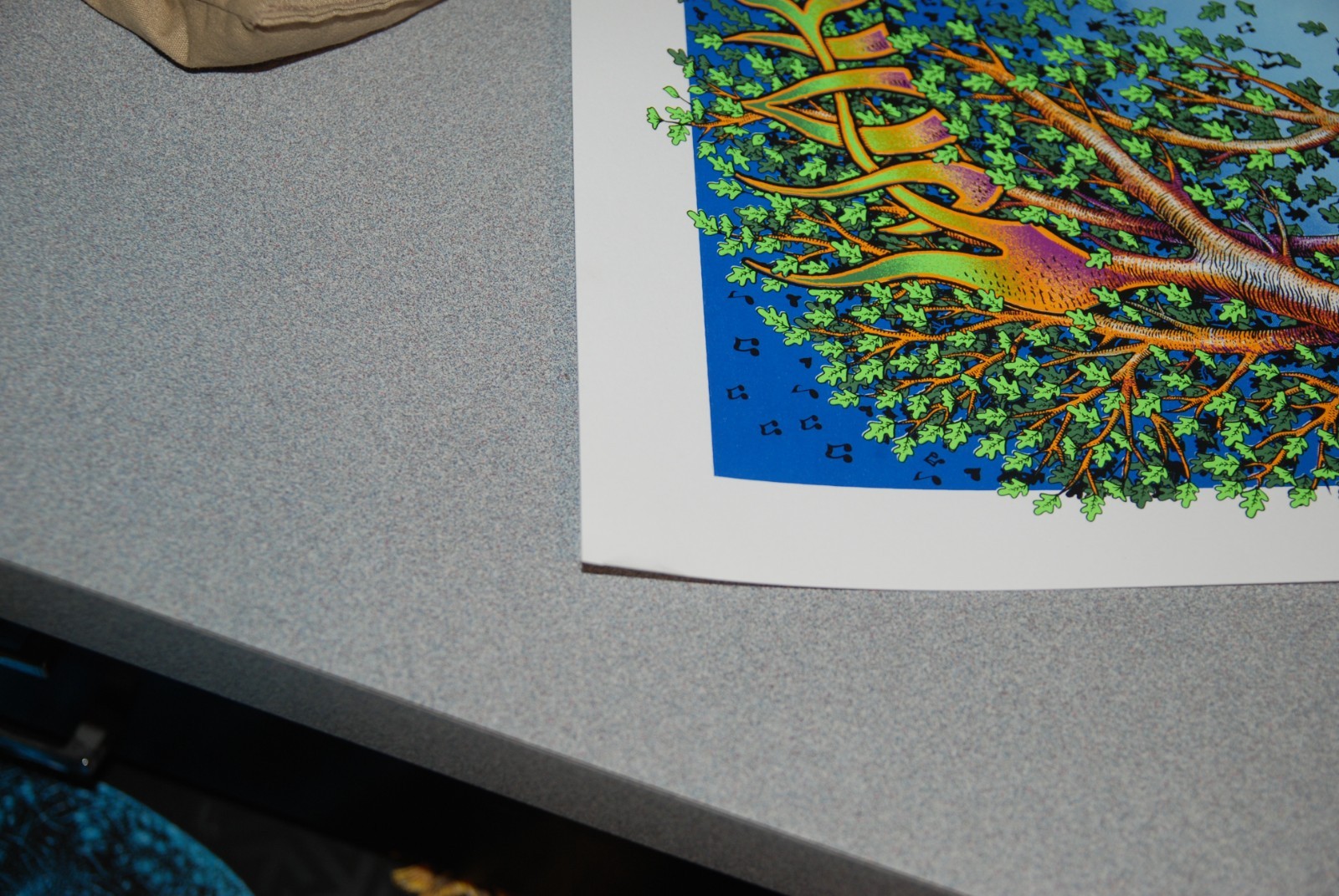 Picture 3 of 3