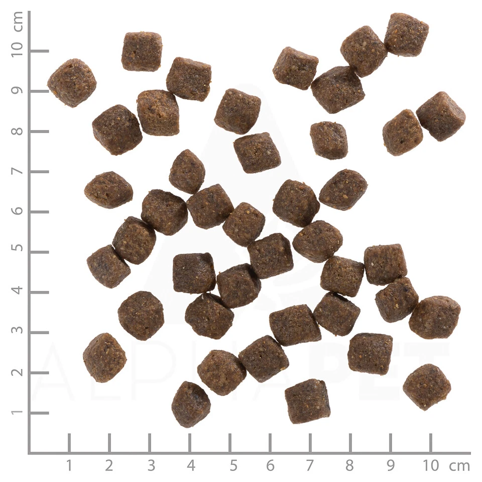 Wolfsblut - Puppy - Black Bird - Truthahn und Süßkartoffel - 12,5 kg - Bild 4 von 4