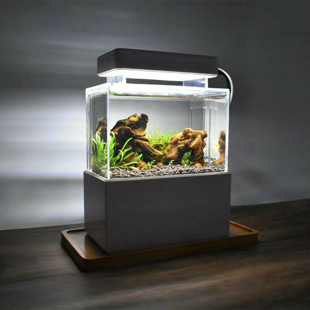 betta air pump