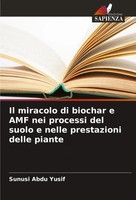 Il Miracolo Di Biochar E Amf Nei Processi Del Suolo E Nelle Prestazioni Delle...