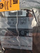 ALLEN BRADLEY 1771-IAD B 120V AC/DC INPUT MODULE