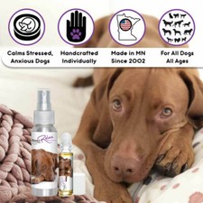 Vizsla Relax Dog Aromatherapy  Calms Your Stressed, Anxious Vizsla Naturally