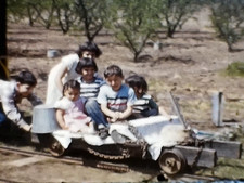 8mm Film 1953 Southern California Life 1950s Home Movie Teens Prom Picnic Cars