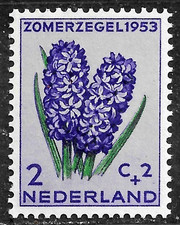 HICK GIRL-MINT NETHERLANDS STAMP   SC#B249  1953  FLOWER ISSUE   C782