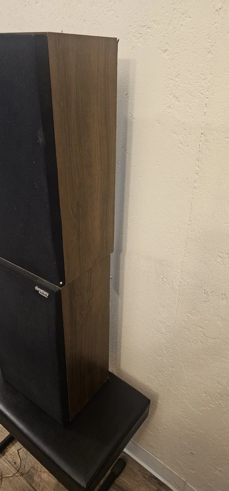 Par de altavoces Panasonic Thruster de dos vías probado Foto 3 de 4