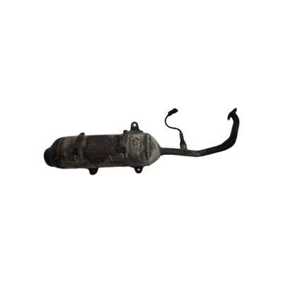 TOPFAUSPUFF - HONDA FES S-WING SWING ABS 125 (2007 - 2015)