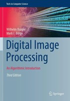 Wilhelm Burger (U. A.) | Digital Image Processing | Taschenbuch | Englisch | Xxv