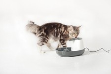 Nobby Trinkbrunnen Cascade 1,5L Wasserspender Tränke Hund Katze