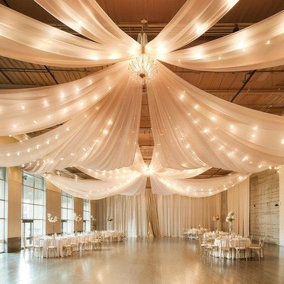 6 Panels Champagne Ceiling Drapes With Lights for Wedding 5ftx10ft Photo Back...
